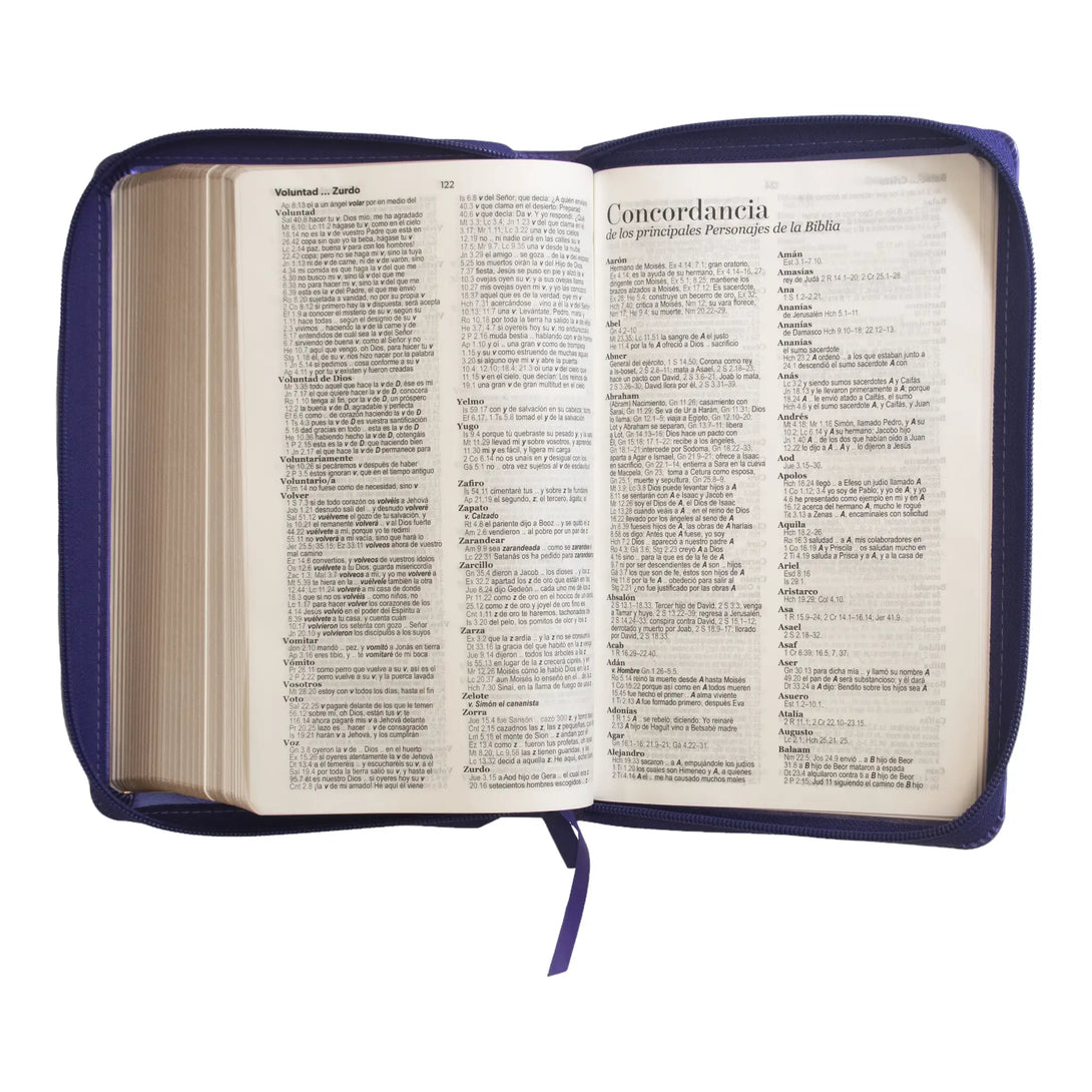 Biblia Reina Valera 1960 tamaño manual letra grande 12