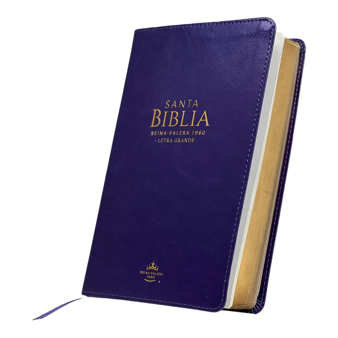 Biblia Reina Valera 1960 tamaño manual letra grande 12