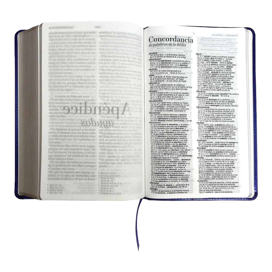 Biblia Reina Valera 1960 tamaño manual letra grande 12
