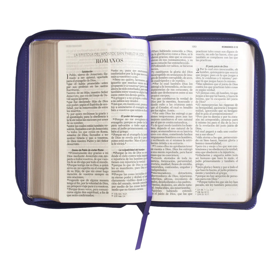 Biblia Reina Valera 1960 tamaño manual letra grande 12