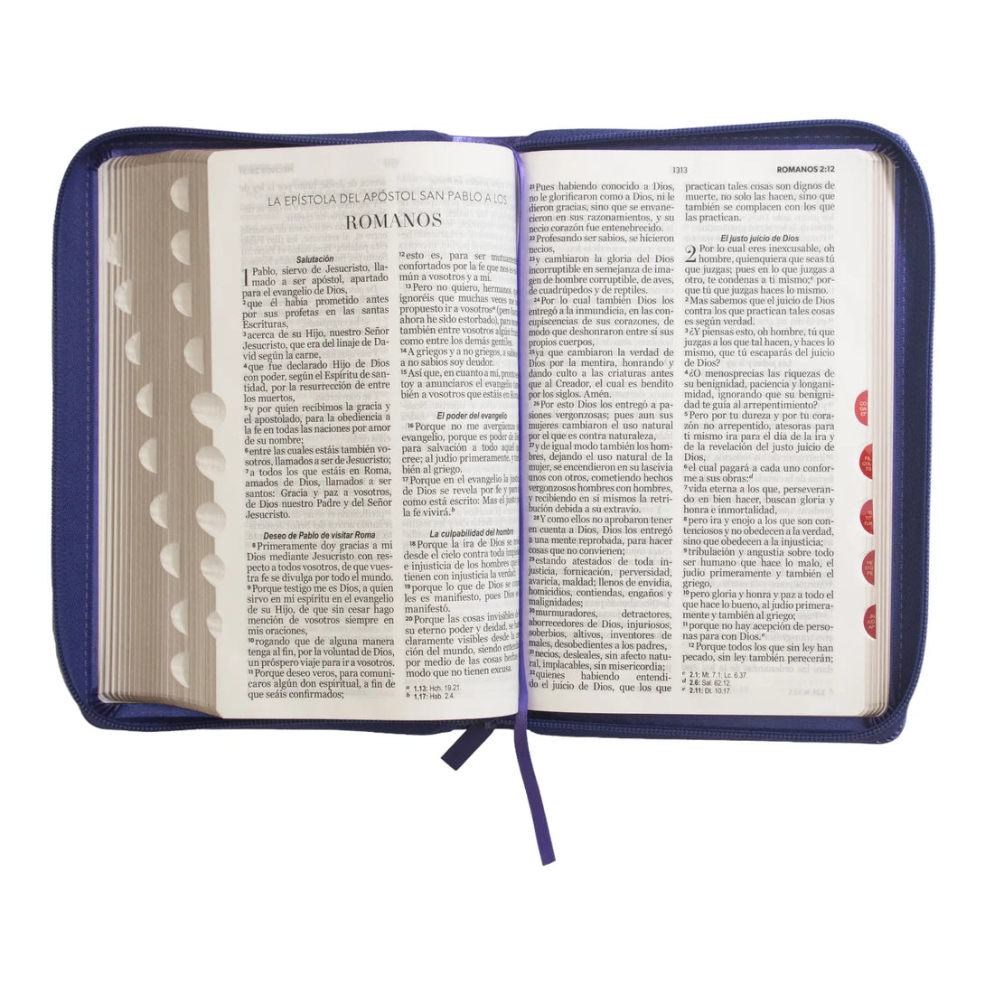 Biblia Reina Valera 1960 tamaño manual letra grande 12
