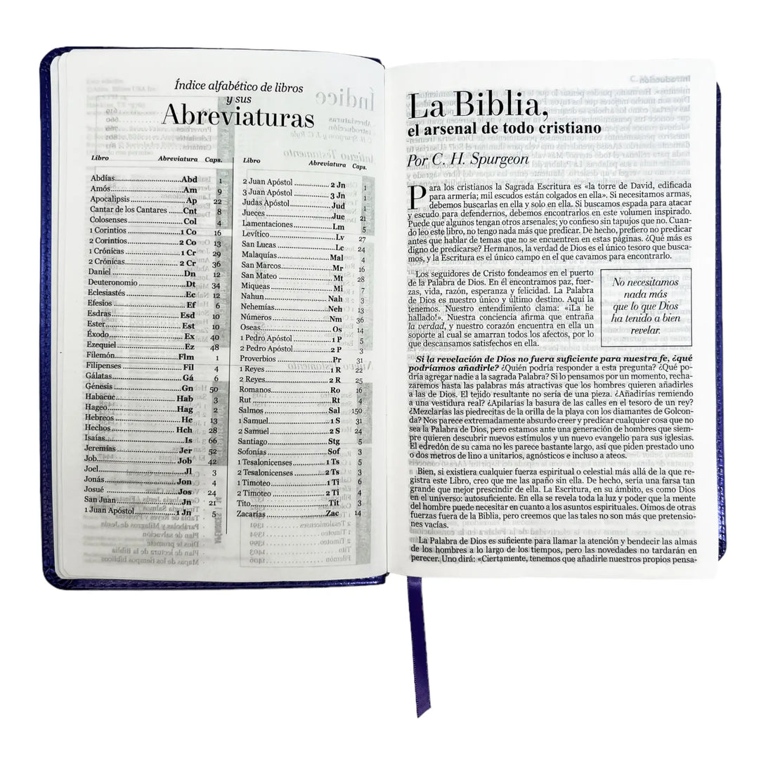 Biblia Reina Valera 1960 tamaño manual letra grande 12