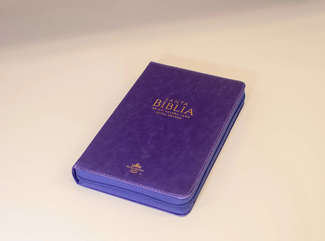 Biblia Reina Valera 1960 tamaño manual letra grande 12