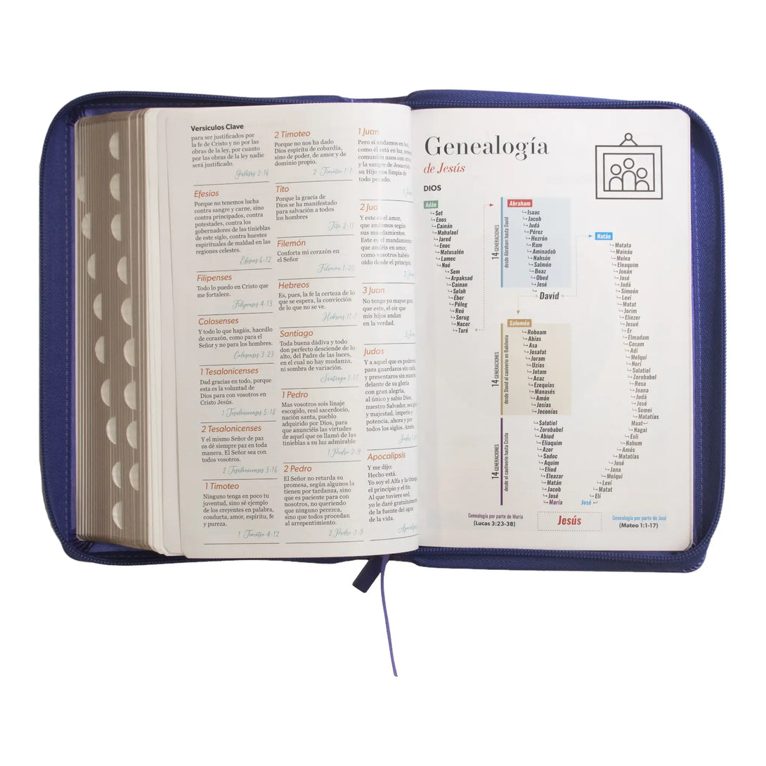 Biblia Reina Valera 1960 tamaño manual letra grande 12