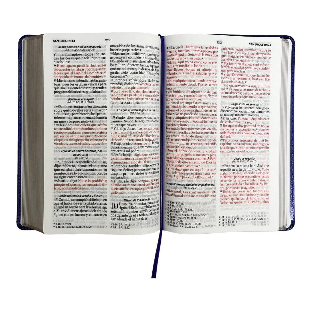 Biblia Reina Valera 1960 tamaño manual letra grande 12