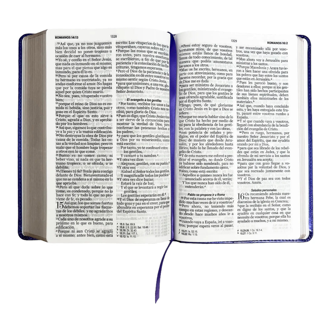 Biblia Reina Valera 1960 tamaño manual letra grande 12