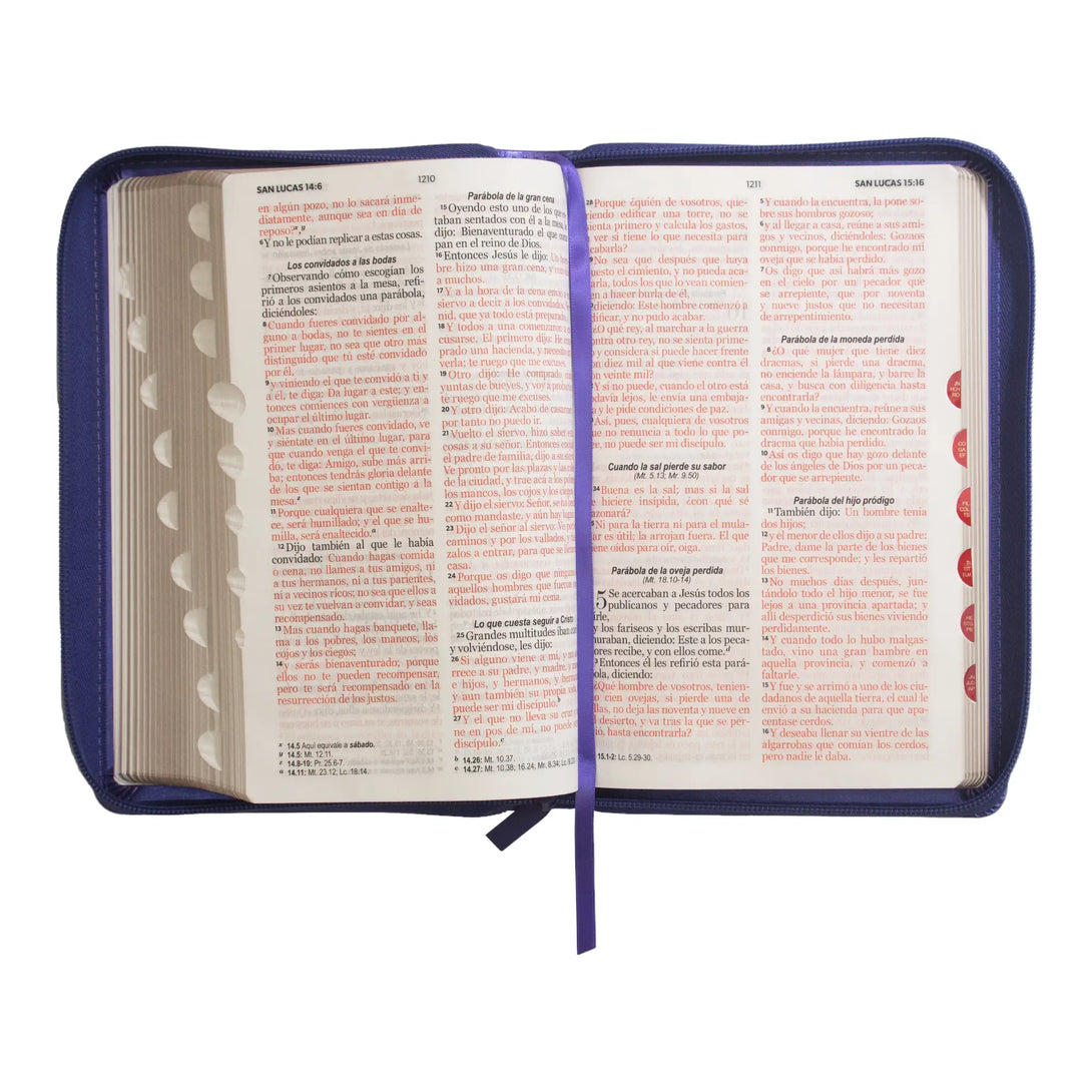 Biblia Reina Valera 1960 tamaño manual letra grande 12