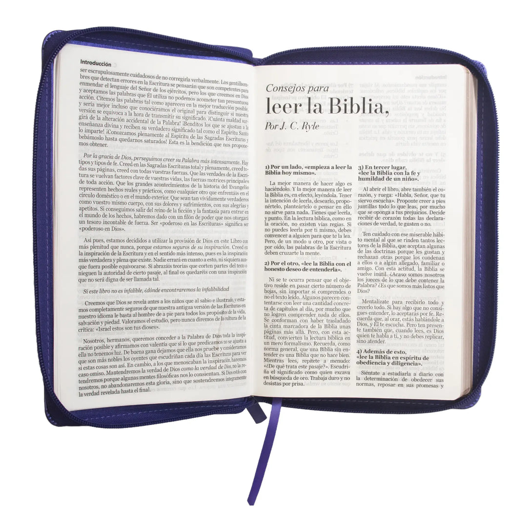Biblia Reina Valera 1960 tamaño manual letra grande 12