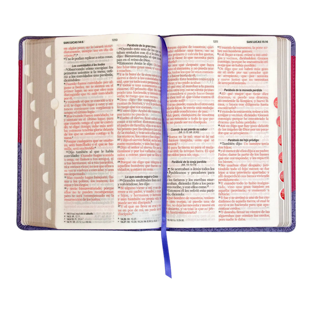 Biblia Reina Valera 1960 tamaño manual letra grande 12