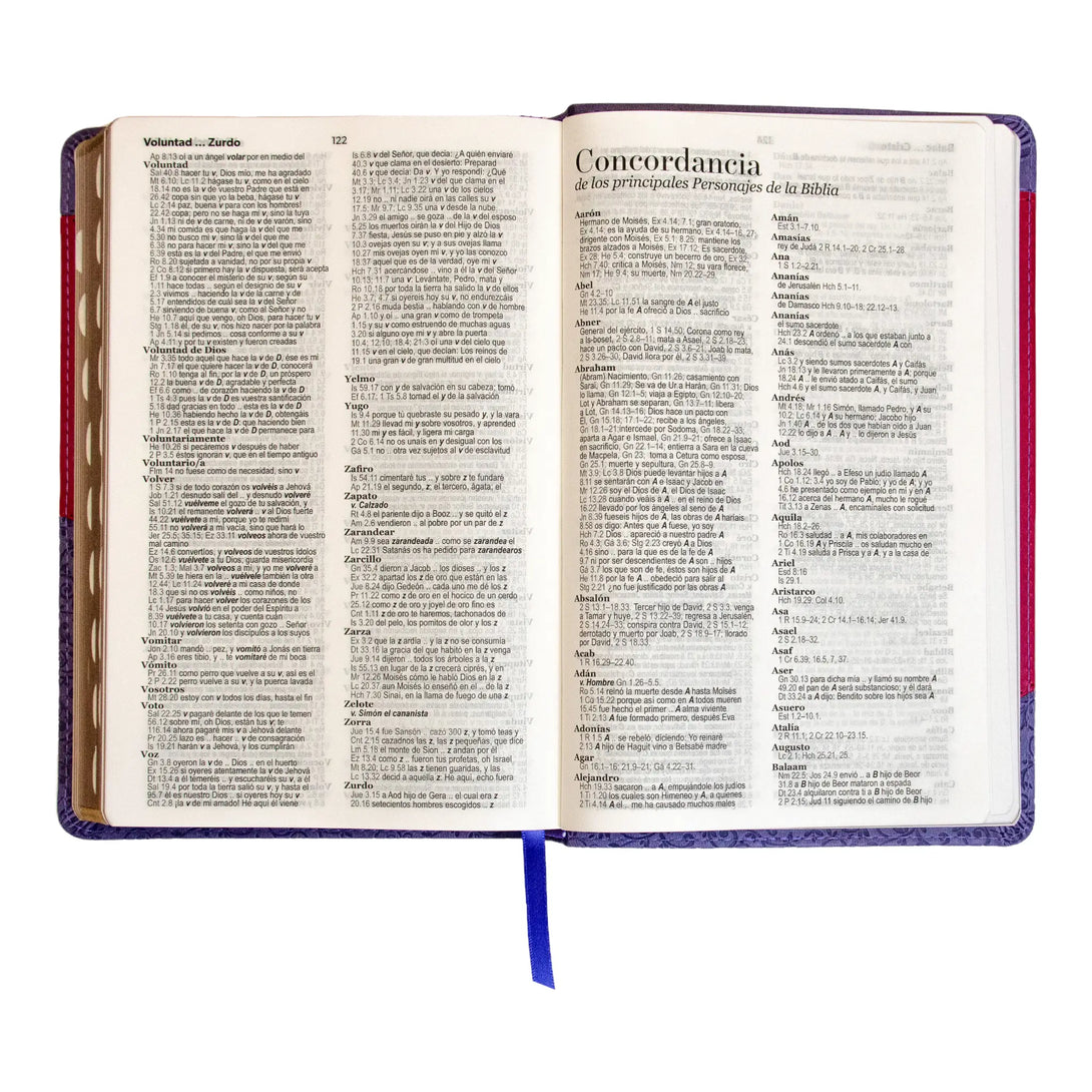Biblia Reina Valera 1960 tamaño manual letra grande 12