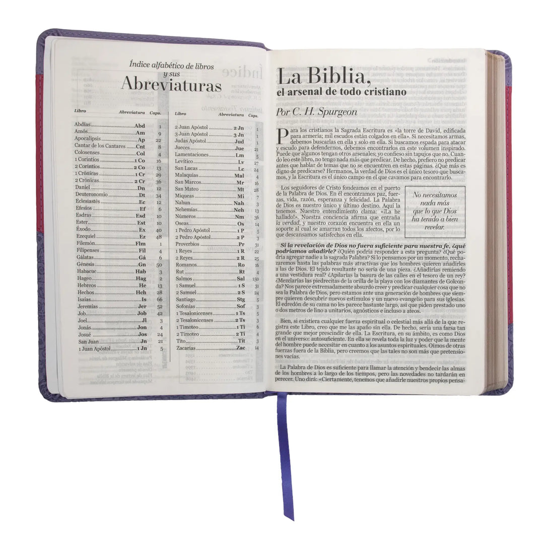 Biblia Reina Valera 1960 tamaño manual letra grande 12