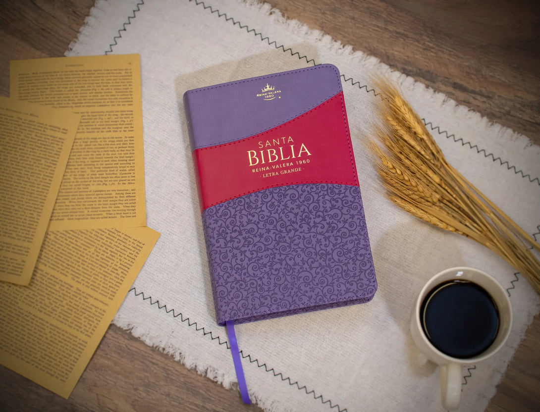 Biblia Reina Valera 1960 tamaño manual letra grande 12