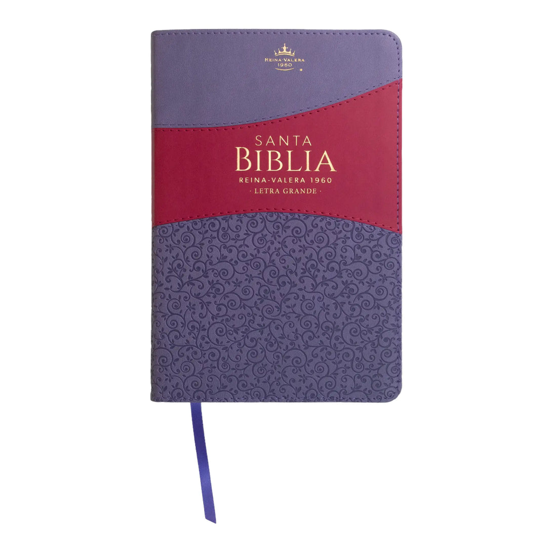 Biblia Reina Valera 1960 tamaño manual letra grande 12