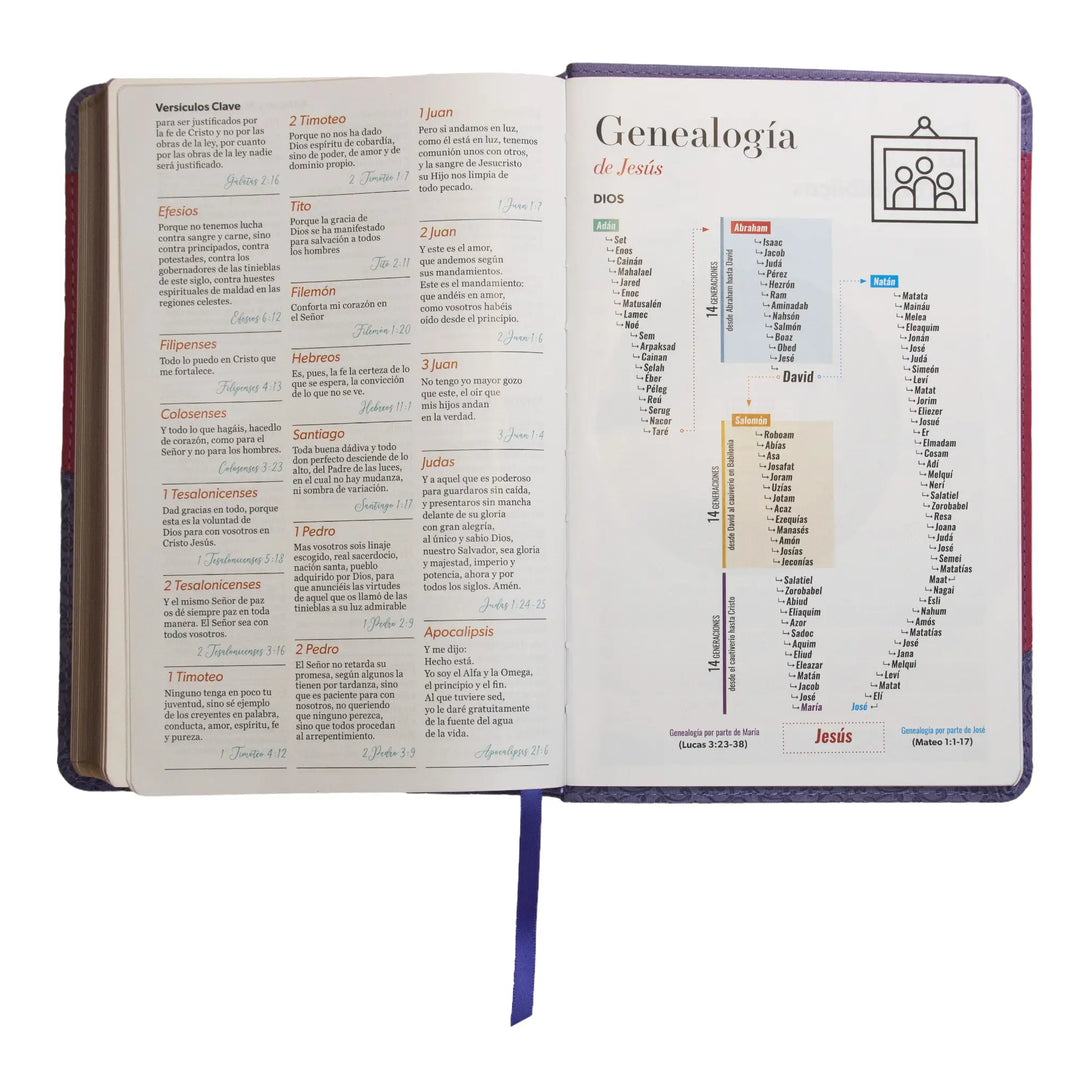 Biblia Reina Valera 1960 tamaño manual letra grande 12