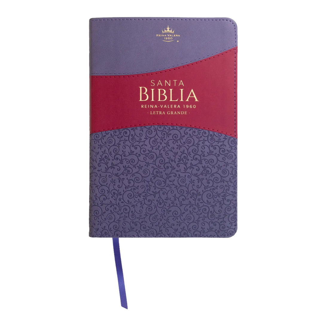 Biblia Reina Valera 1960 tamaño manual letra grande 12