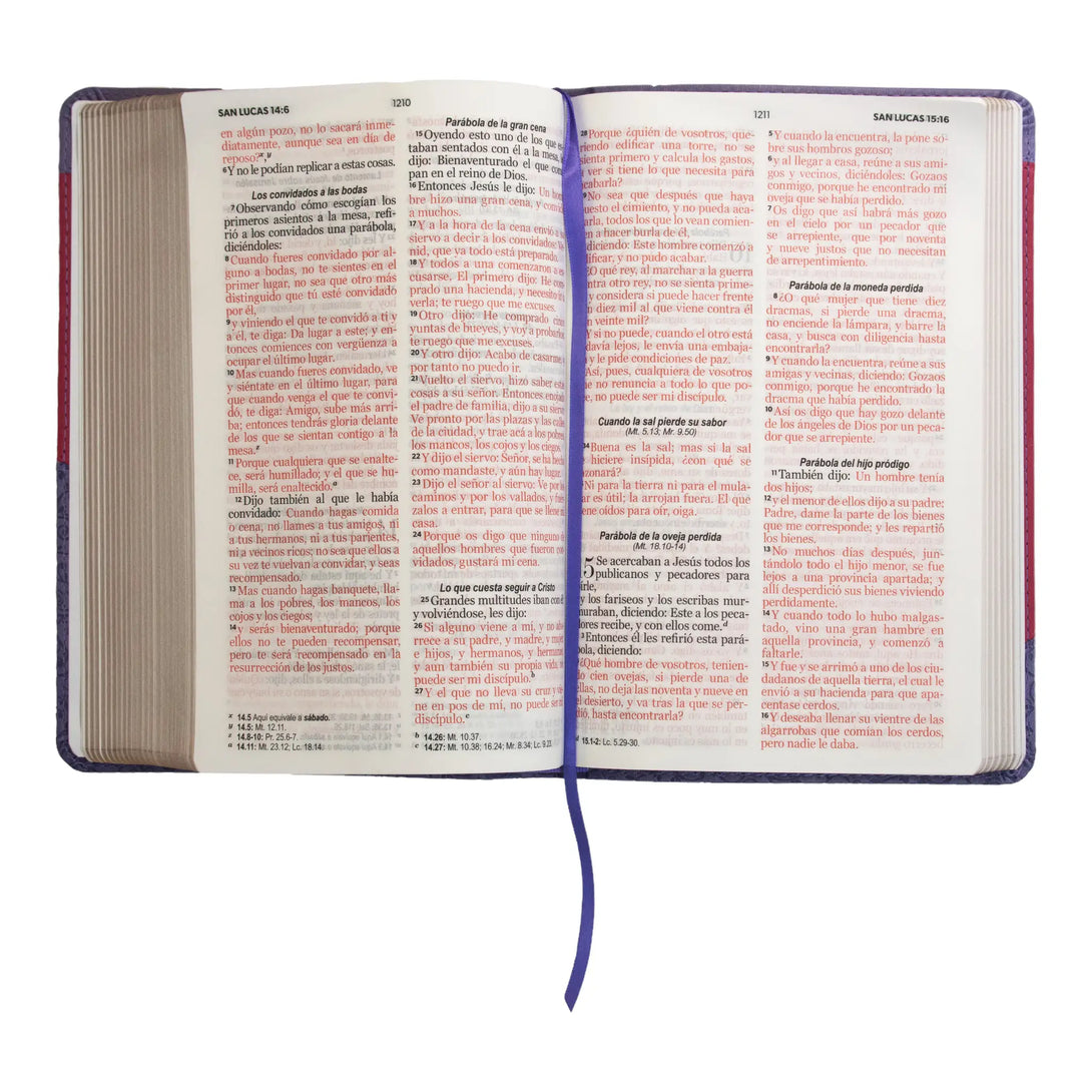 Biblia Reina Valera 1960 tamaño manual letra grande 12