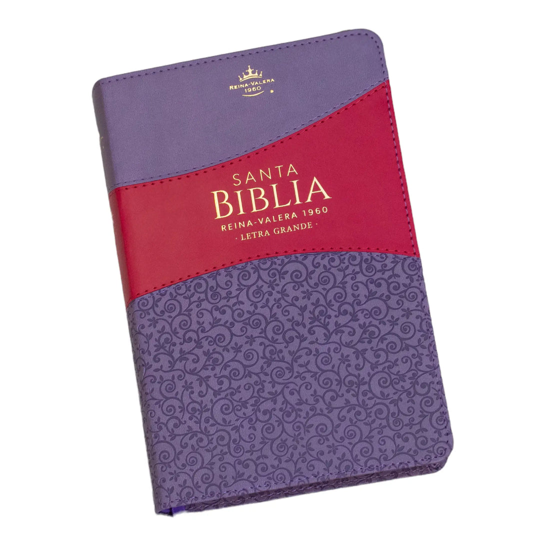 Biblia Reina Valera 1960 tamaño manual letra grande 12