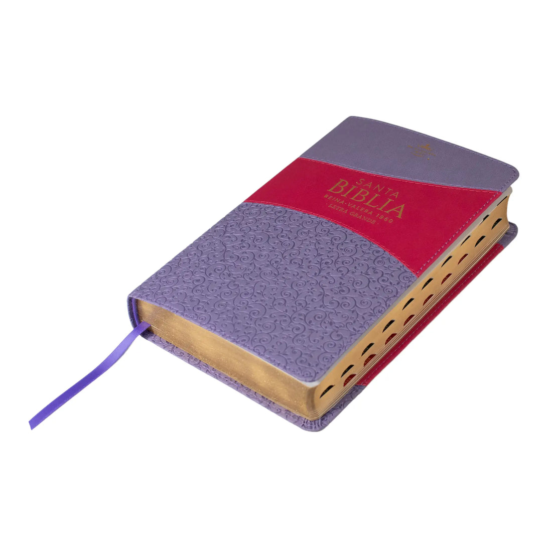 Biblia Reina Valera 1960 tamaño manual letra grande 12
