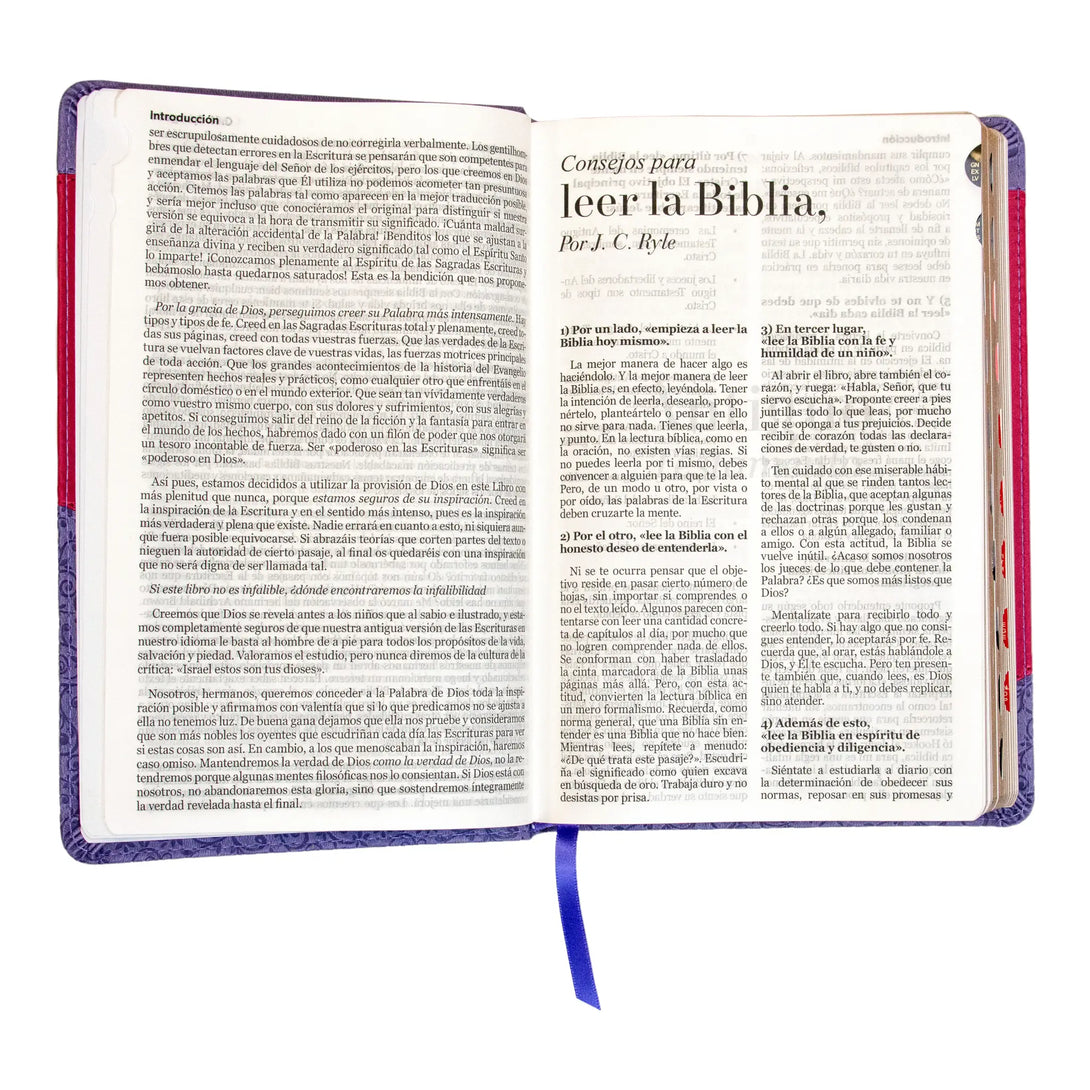 Biblia Reina Valera 1960 tamaño manual letra grande 12