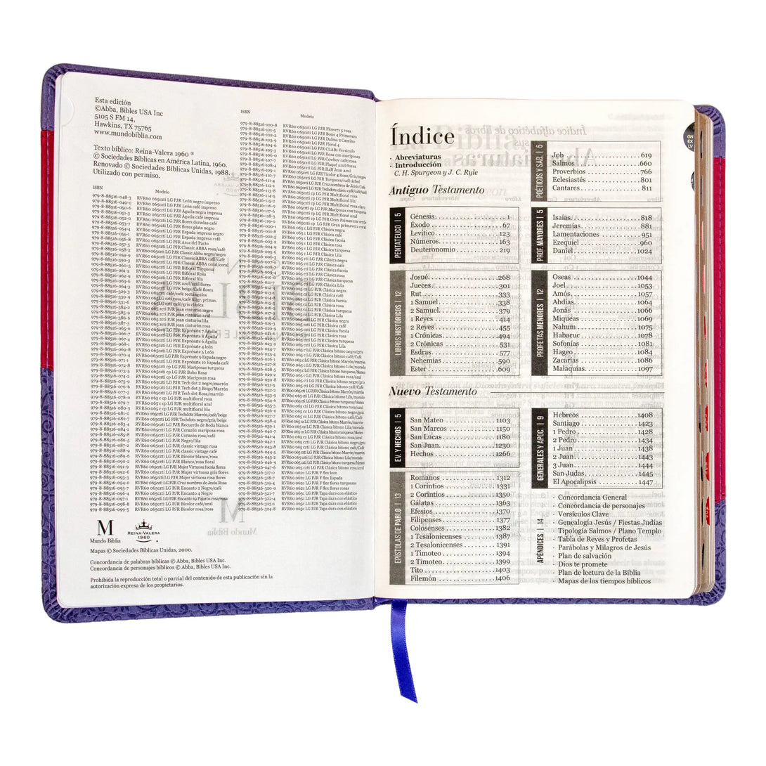 Biblia Reina Valera 1960 tamaño manual letra grande 12