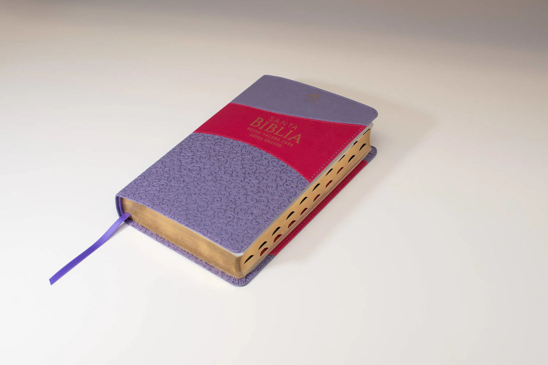 Biblia Reina Valera 1960 tamaño manual letra grande 12