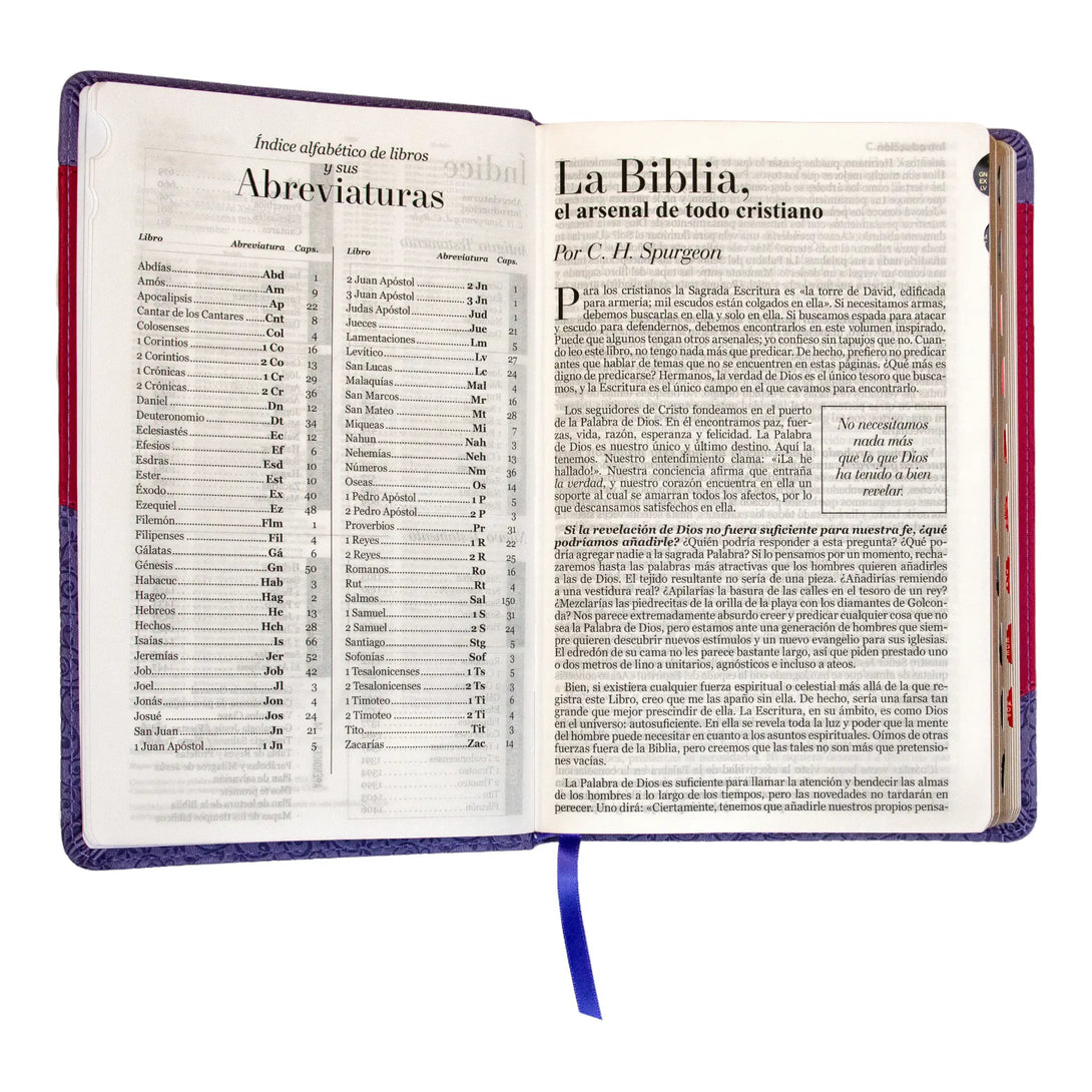 Biblia Reina Valera 1960 tamaño manual letra grande 12