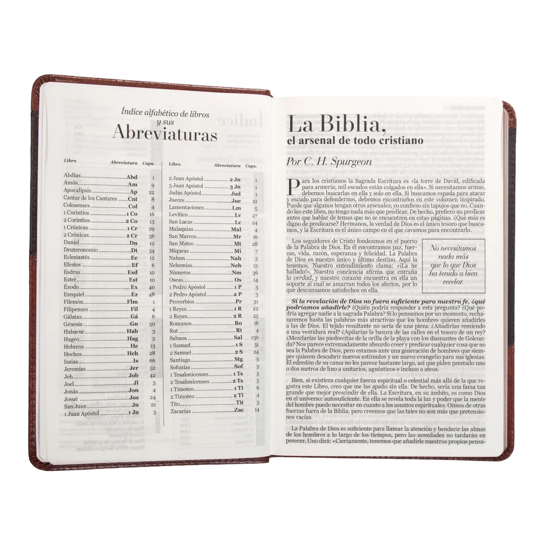 Biblia Reina Valera 1960 tamaño manual letra grande 12