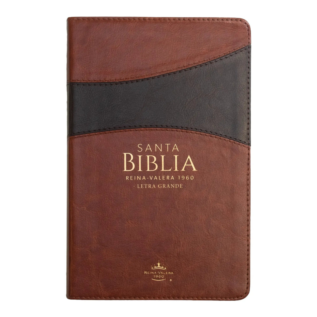 Biblia Reina Valera 1960 tamaño manual letra grande 12