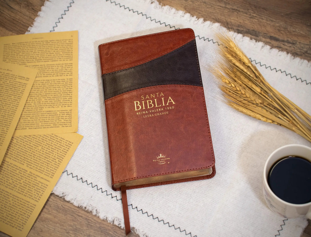 Biblia Reina Valera 1960 tamaño manual letra grande 12
