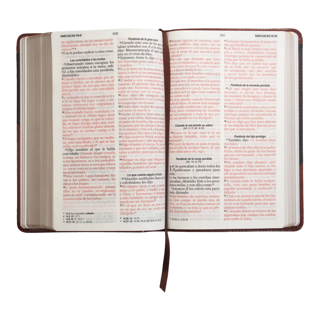 Biblia Reina Valera 1960 tamaño manual letra grande 12