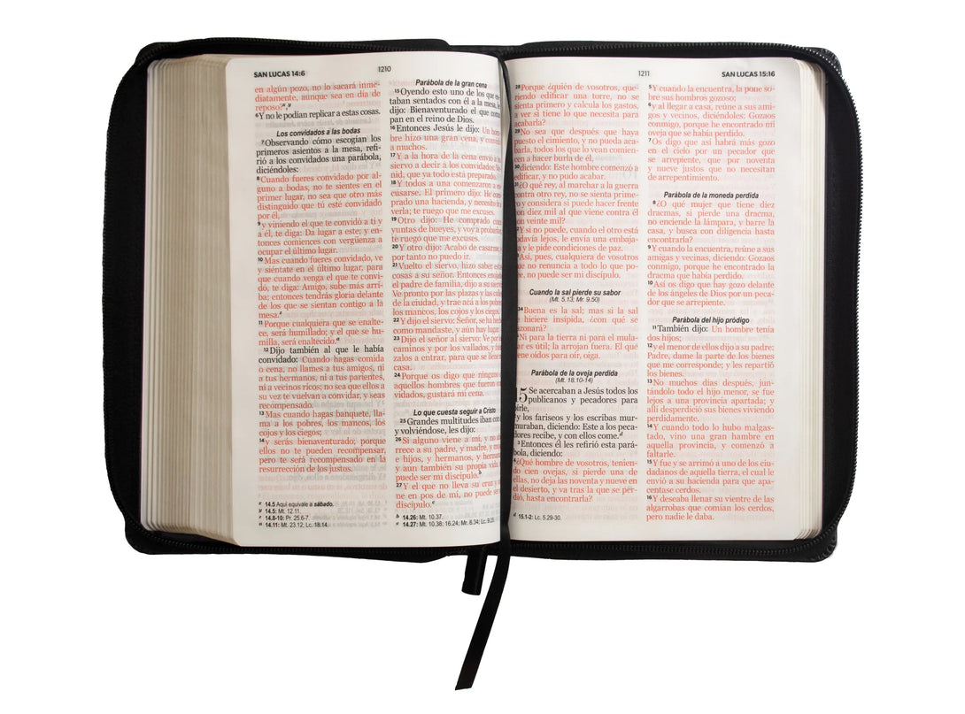 Biblia Reina Valera 1960 tamaño manual letra grande 12