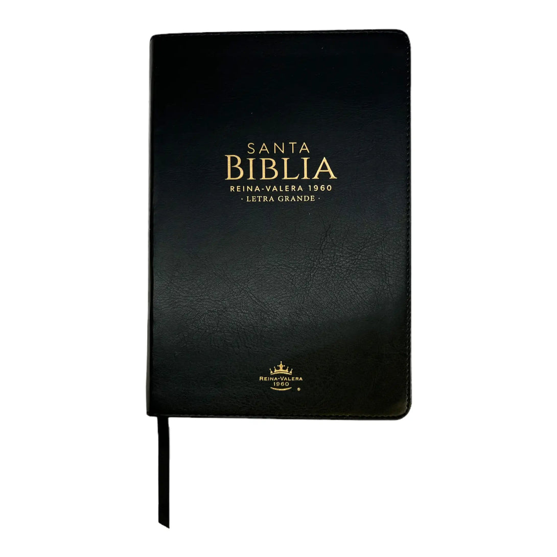 Biblia Reina Valera 1960 tamaño manual letra grande 12