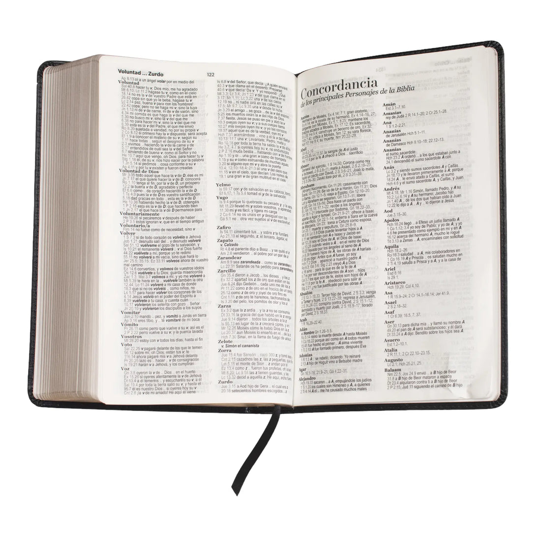 Biblia Reina Valera 1960 tamaño manual letra grande 12