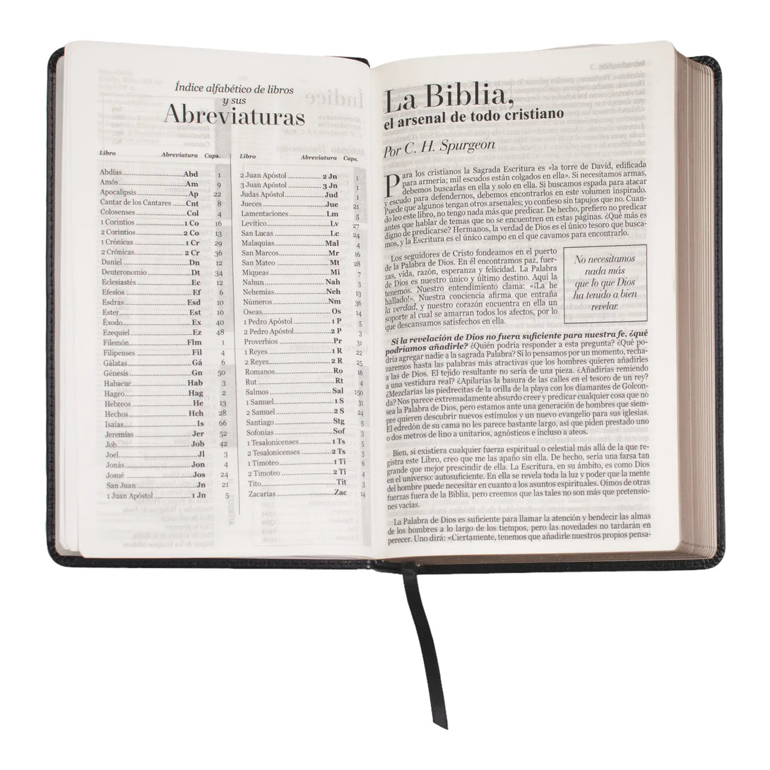 Biblia Reina Valera 1960 tamaño manual letra grande 12