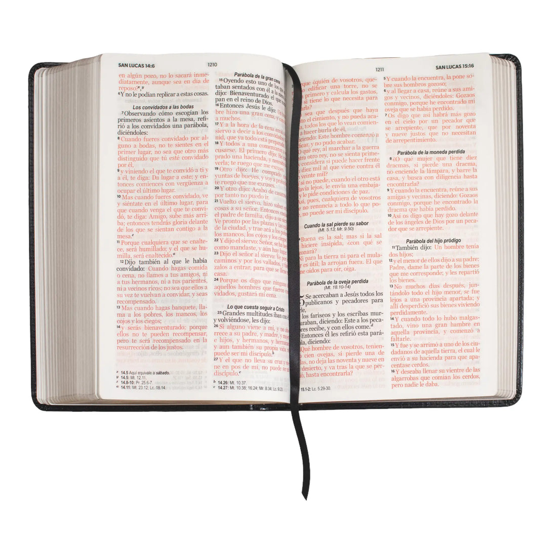 Biblia Reina Valera 1960 tamaño manual letra grande 12