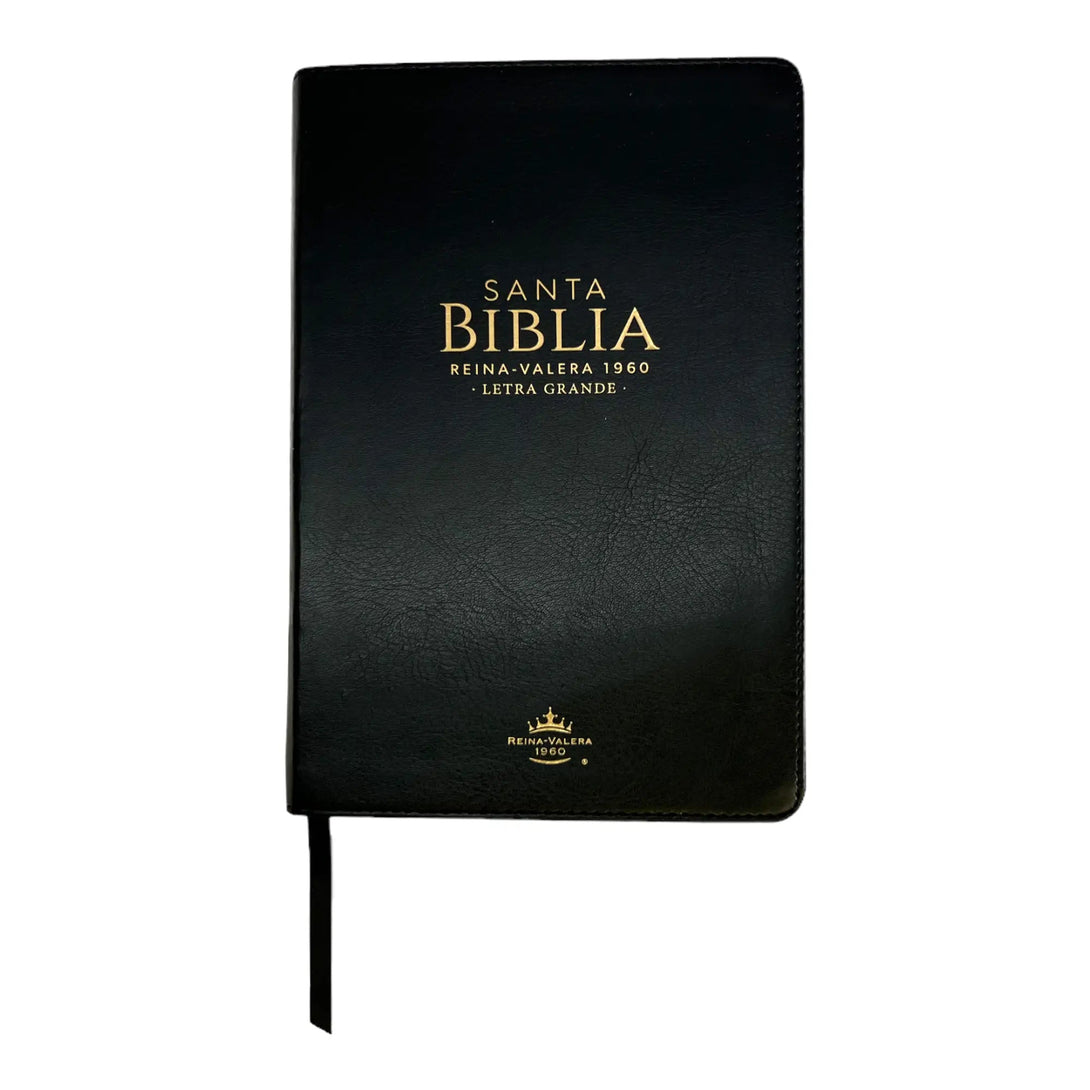 Biblia Reina Valera 1960 tamaño manual letra grande 12