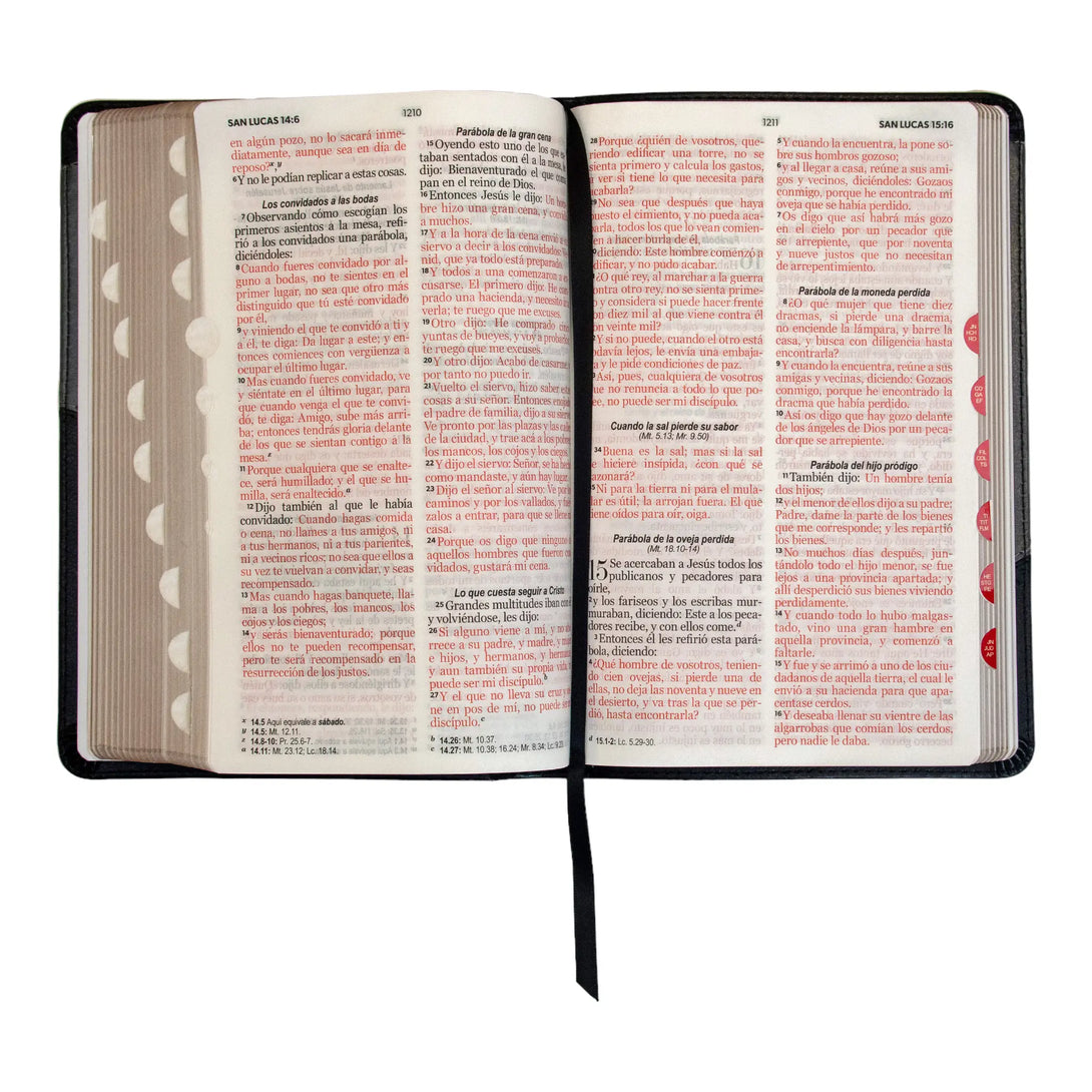Biblia Reina Valera 1960 tamaño manual letra grande 12