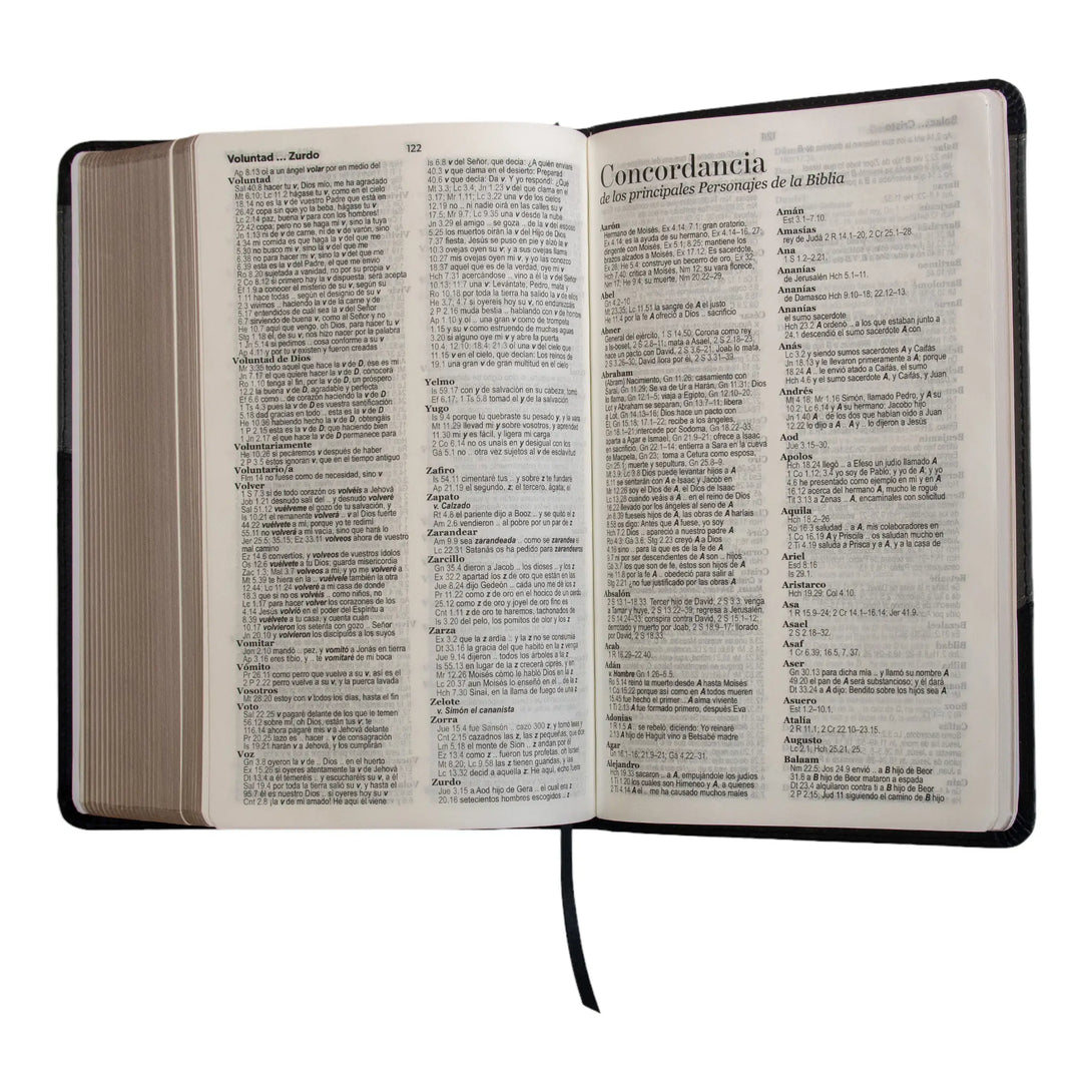Biblia Reina Valera 1960 tamaño manual letra grande 12 puntos