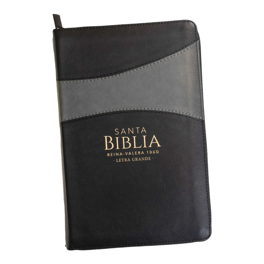 Biblia Reina Valera 1960 tamaño manual letra grande 12