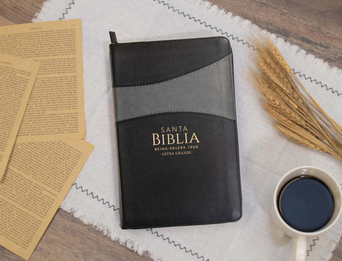 Biblia Reina Valera 1960 tamaño manual letra grande 12