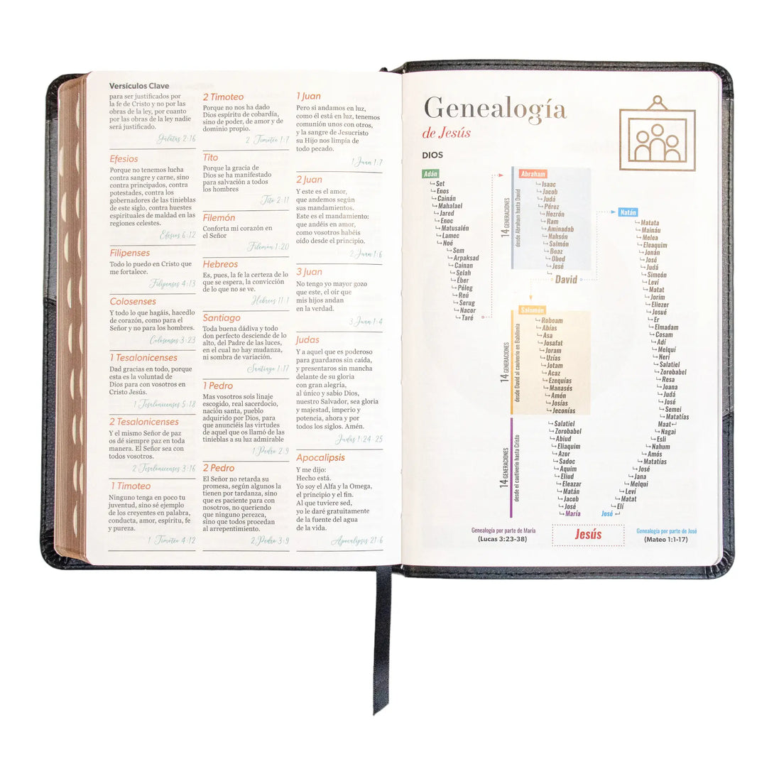 Biblia Reina Valera 1960 tamaño manual letra grande 12
