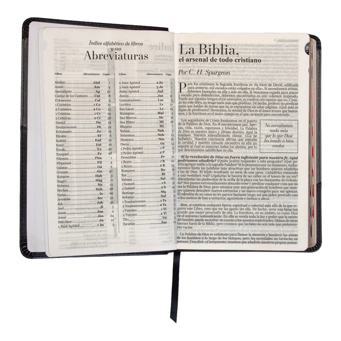 Biblia Reina Valera 1960 tamaño manual letra grande 12