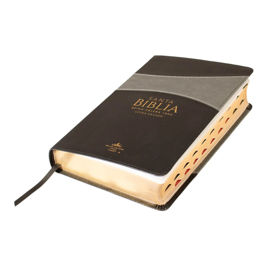 Biblia Reina Valera 1960 tamaño manual letra grande 12