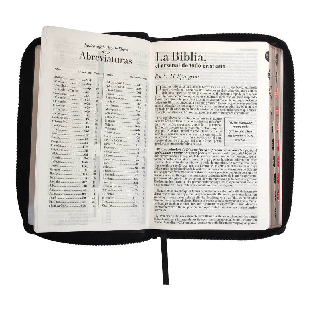 Biblia Reina Valera 1960 tamaño manual letra grande 12