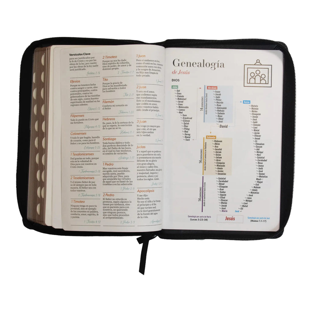 Biblia Reina Valera 1960 tamaño manual letra grande 12