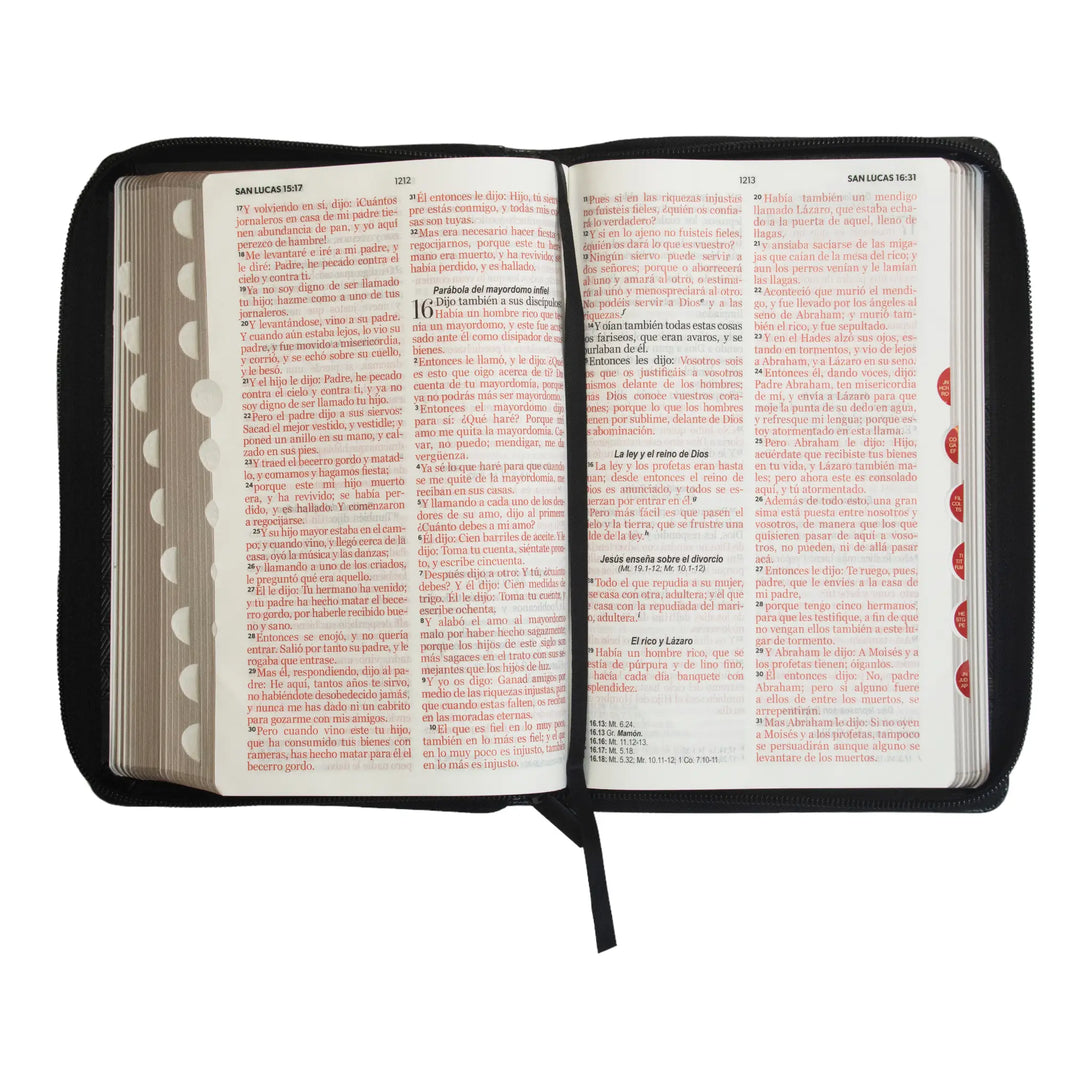 Biblia Reina Valera 1960 tamaño manual letra grande 12