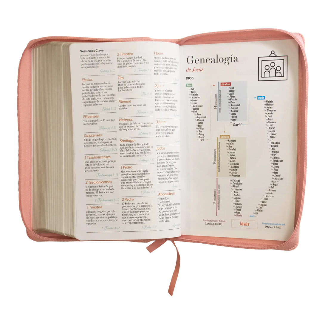 Biblia Reina Valera 1960 tamaño manual letra grande 12