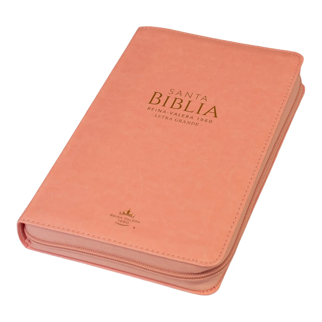 Biblia Reina Valera 1960 tamaño manual letra grande 12