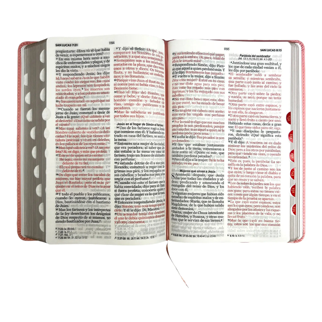 Biblia Reina Valera 1960 tamaño manual letra grande 12
