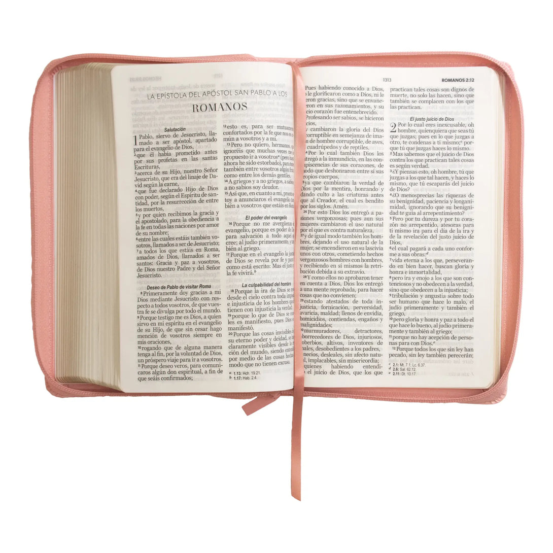 Biblia Reina Valera 1960 tamaño manual letra grande 12
